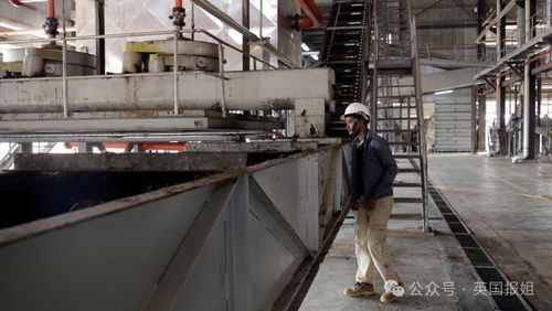 當機械成為殺手 工業自動化背后的致命風險